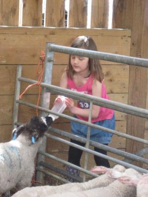 Bucklebury Farm Park