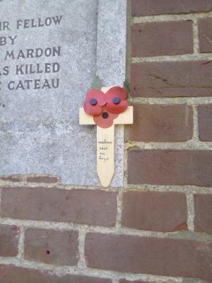 A poppy tribute